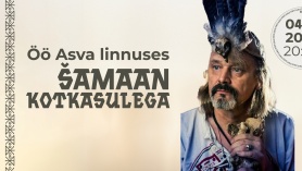Asva viikingiküla