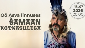 Asva viikingiküla